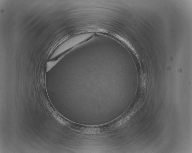 X0000084530889200703091625