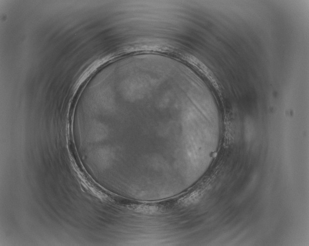 X0000084530890200703091625