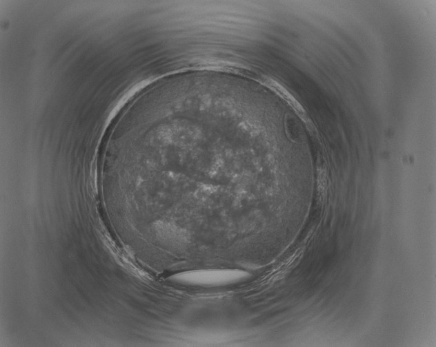 X0000084530891200703091625