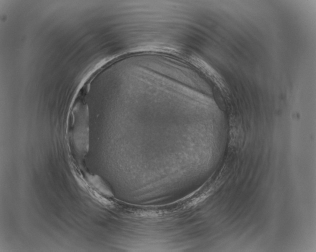 X0000084530892200703091625