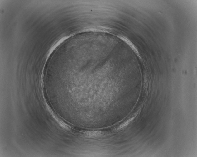 X0000084530893200703091625