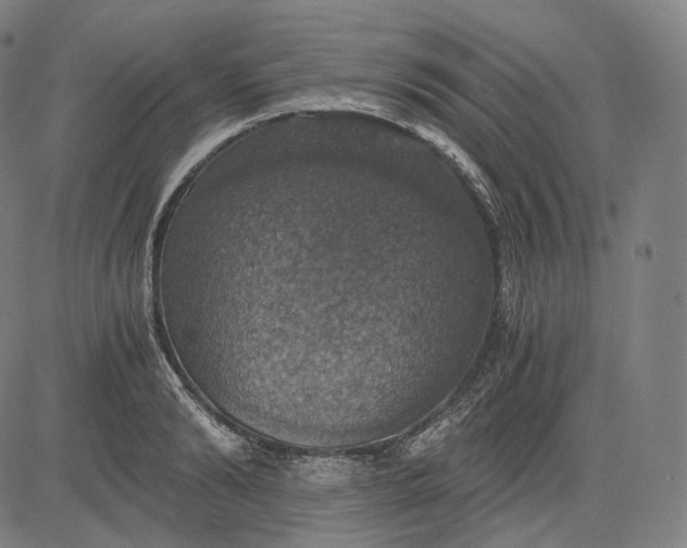 X0000084530894200703091625