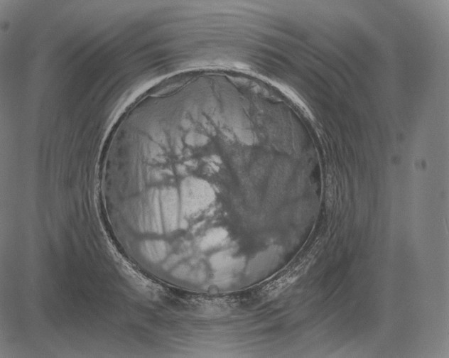 X0000084530895200703091625