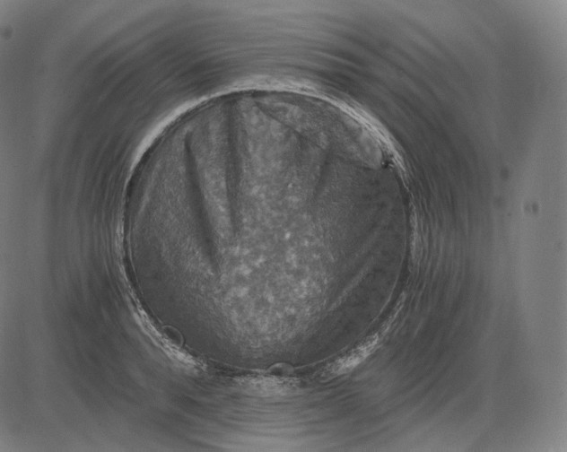 X0000084530896200703091625