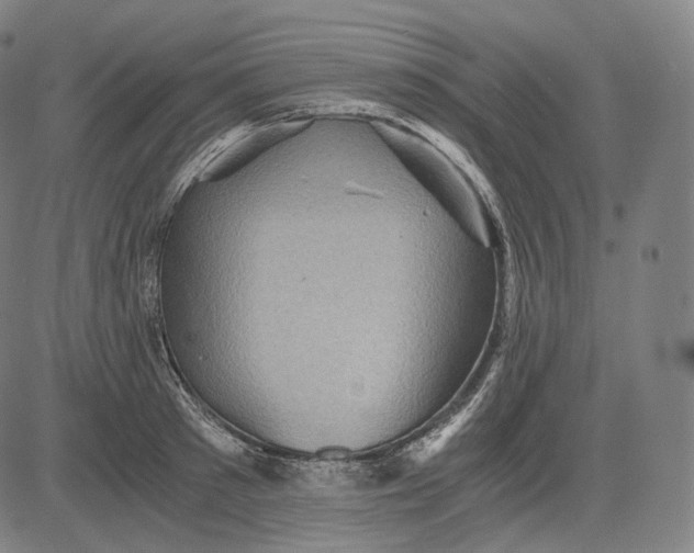 X0000084530897200703091625