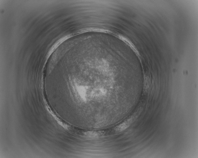 X0000084530898200703091625