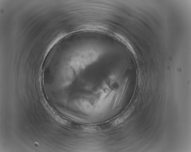 X0000084530899200703091625