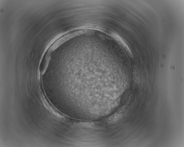 X0000084530900200703091625