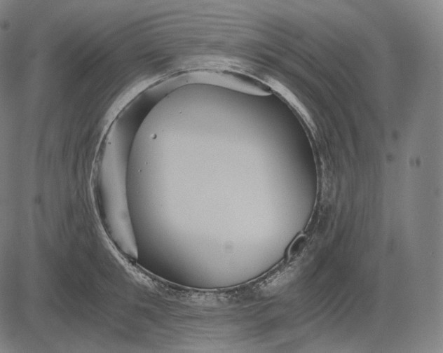 X0000084530901200703091625