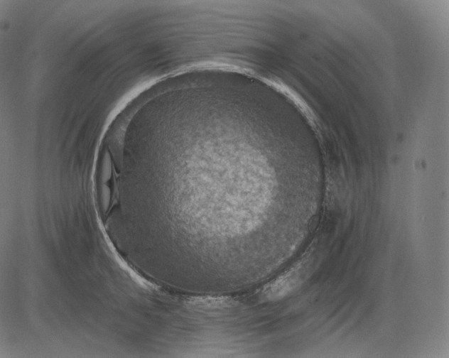 X0000084530902200703091625