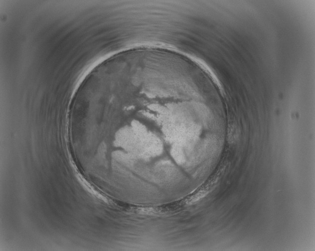 X0000084530903200703091625