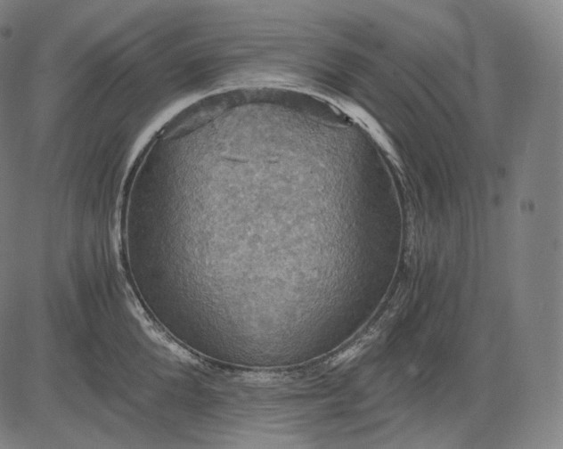 X0000084530904200703091625