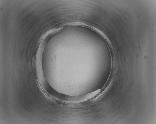 X0000084530905200703091625