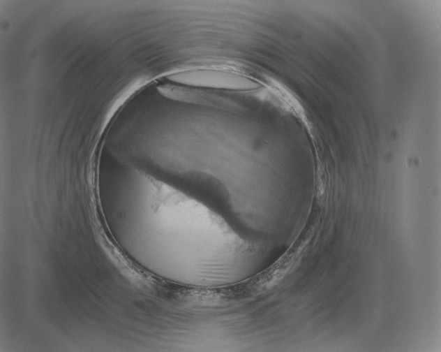 X0000084530907200703091625