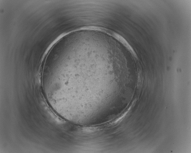 X0000084530908200703091625