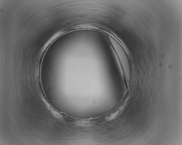 X0000084530909200703091625