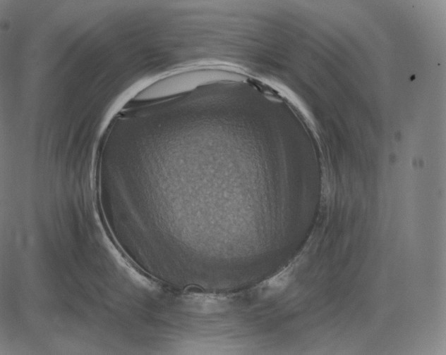 X0000084530910200703091625