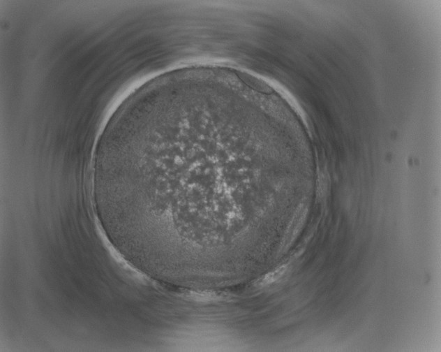 X0000084530911200703091625