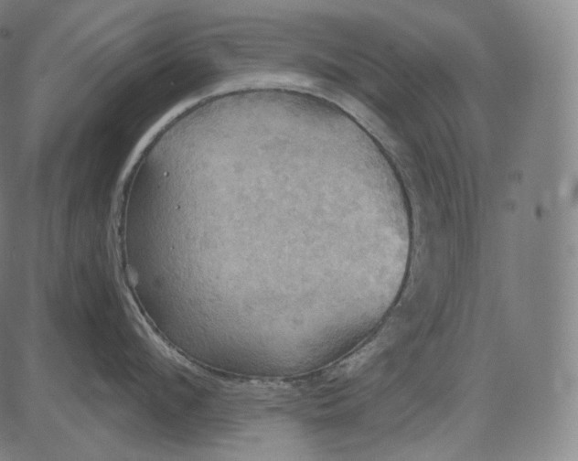 X0000084530912200703091625