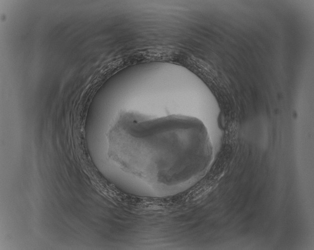 X0000084530913200703091624