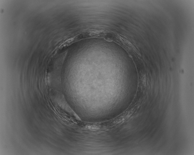 X0000084530914200703091624