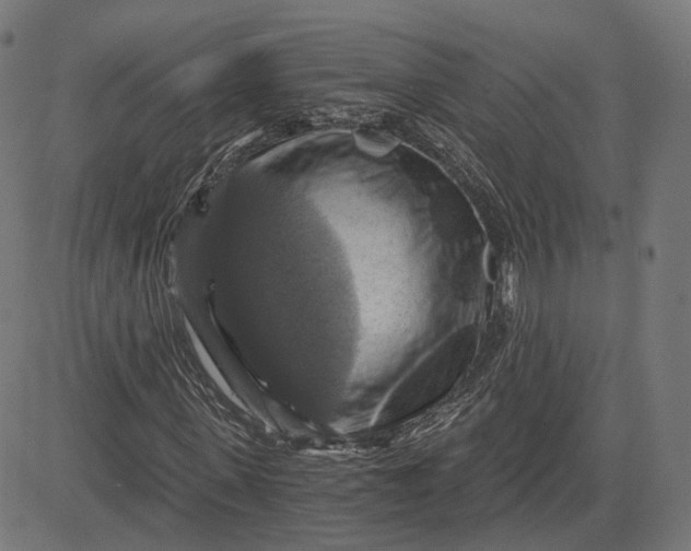 X0000084530915200703091624