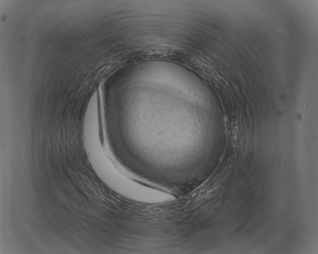 X0000084530916200703091624