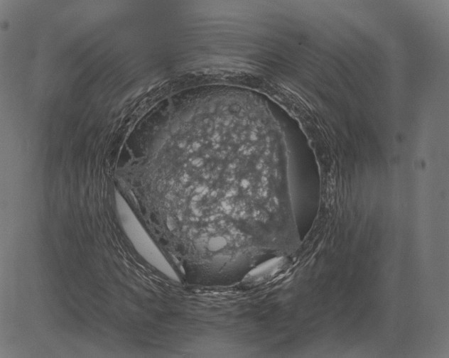 X0000084530917200703091624