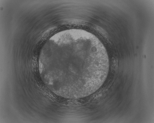 X0000084530918200703091624