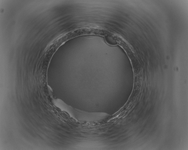 X0000084530919200703091624