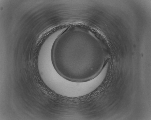 X0000084530920200703091624