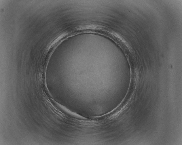 X0000084530921200703091624