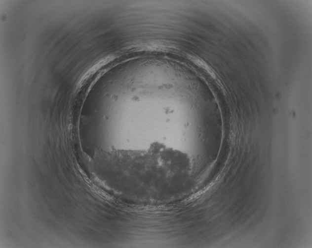 X0000084530922200703091624