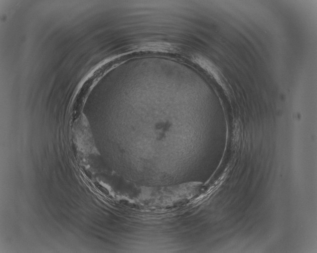 X0000084530923200703091624