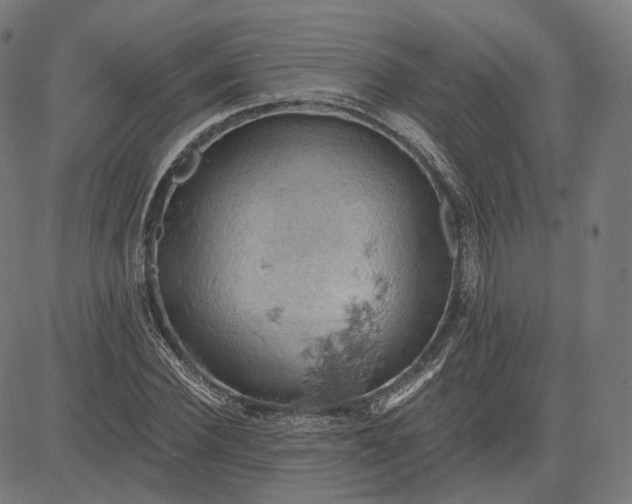 X0000084530924200703091624