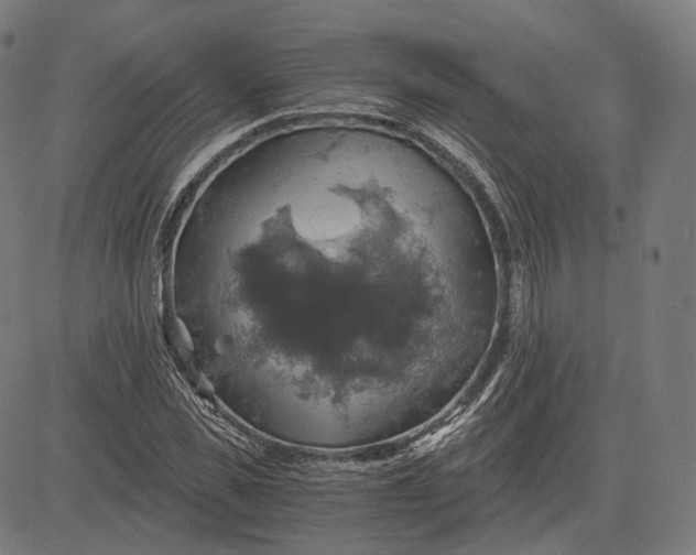 X0000084530925200703091624