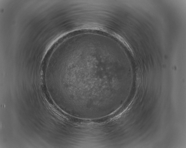 X0000084530926200703091624