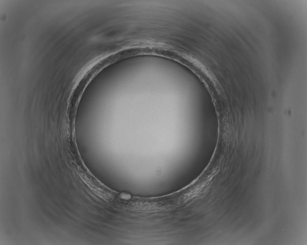 X0000084530927200703091624