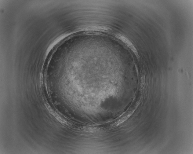 X0000084530928200703091624