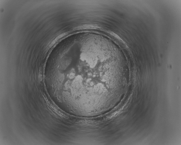 X0000084530929200703091624