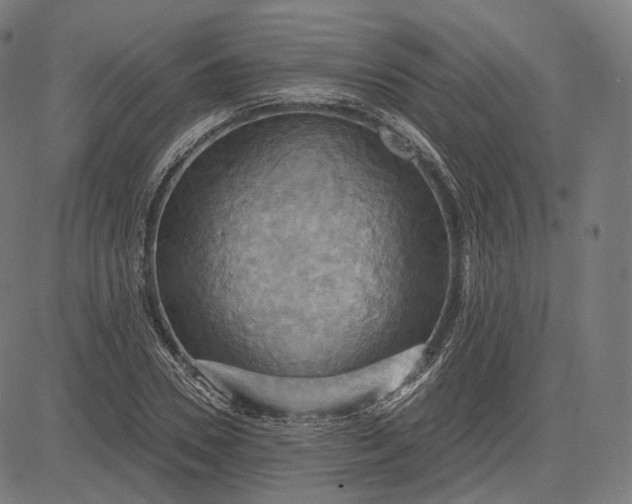 X0000084530930200703091624