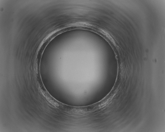 X0000084530931200703091624