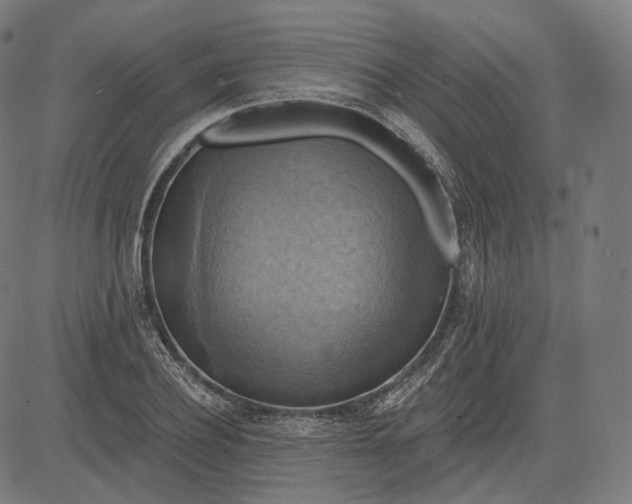 X0000084530932200703091624