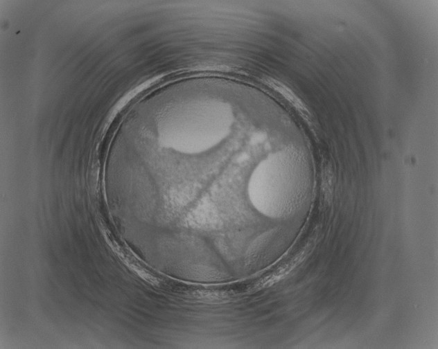 X0000084530933200703091624