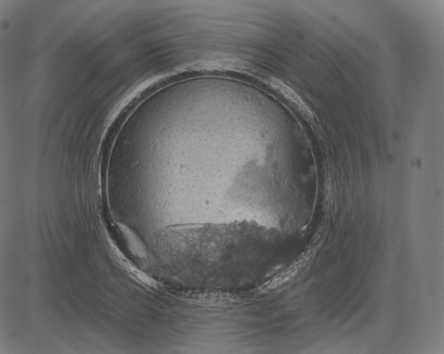 X0000084530934200703091624