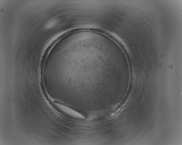 X0000084530935200703091624