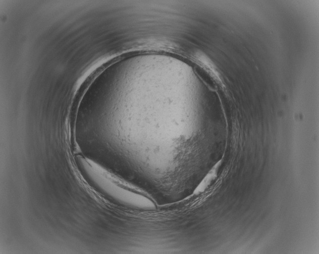 X0000084530936200703091624