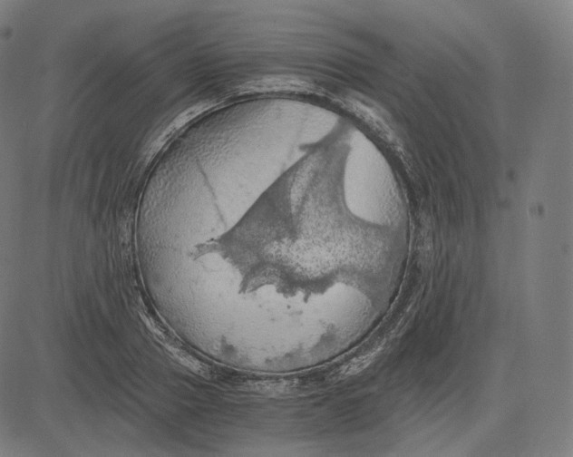 X0000084530937200703091624