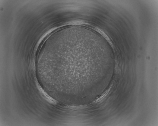 X0000084530939200703091624