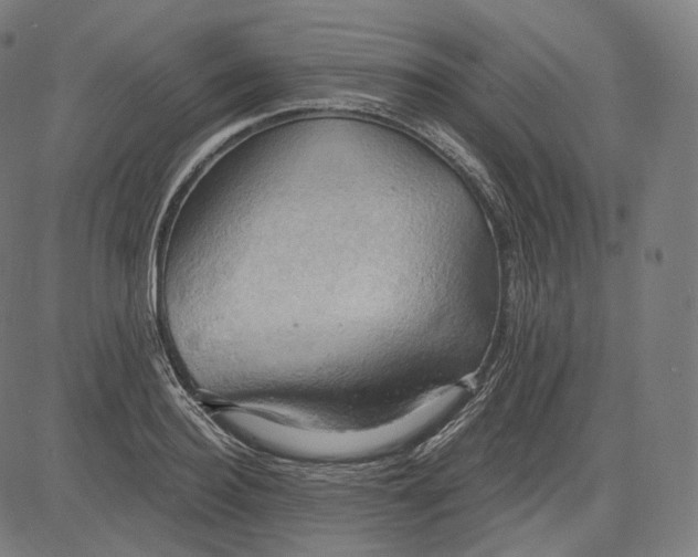 X0000084530940200703091624